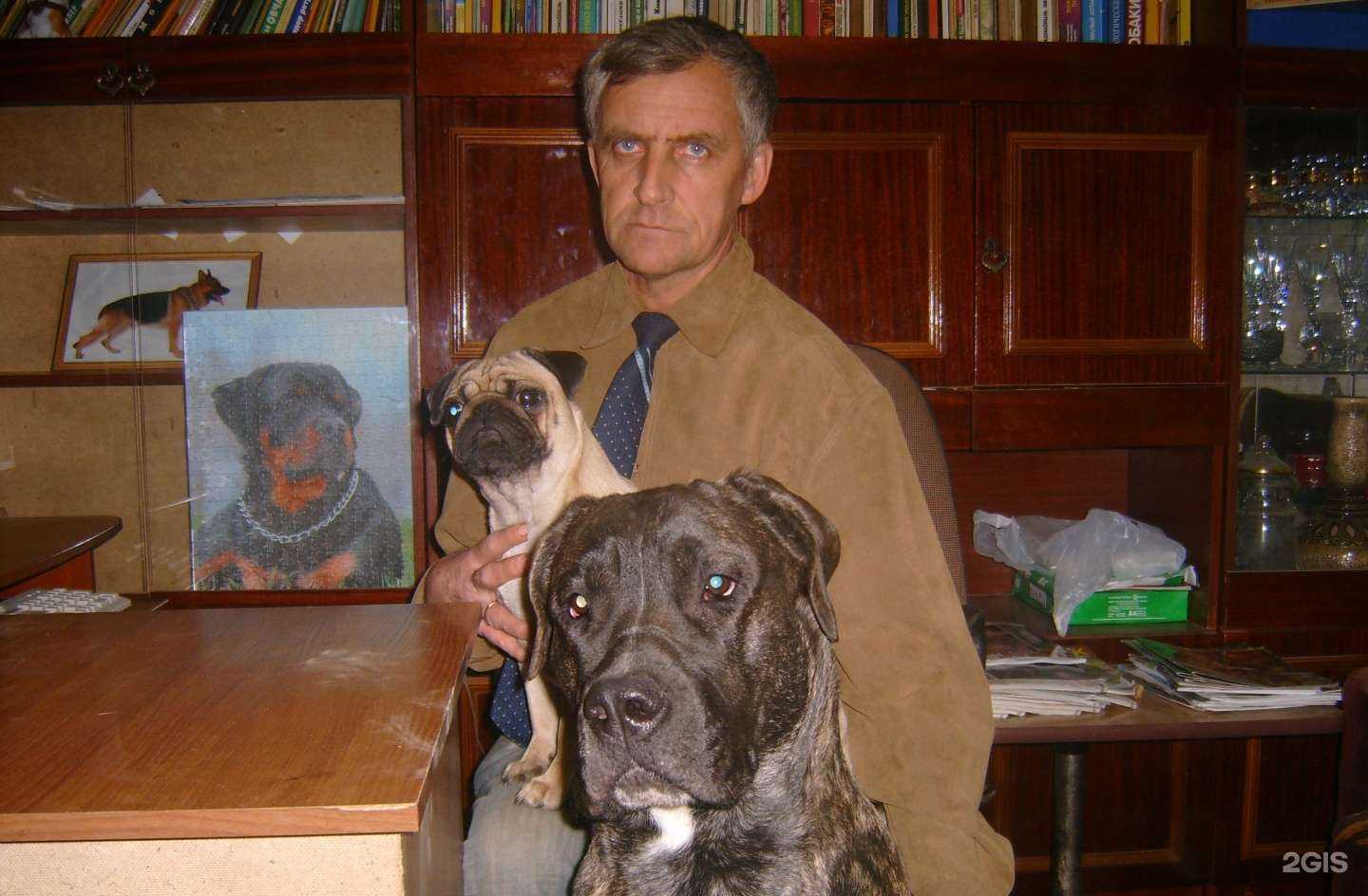 Отзывы на компанию Максимыч в г. Пятигорск c фото