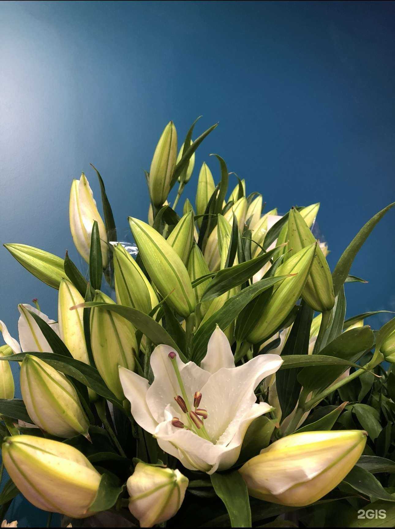 Отзывы на компанию Rozaberg в Калининграде c фото