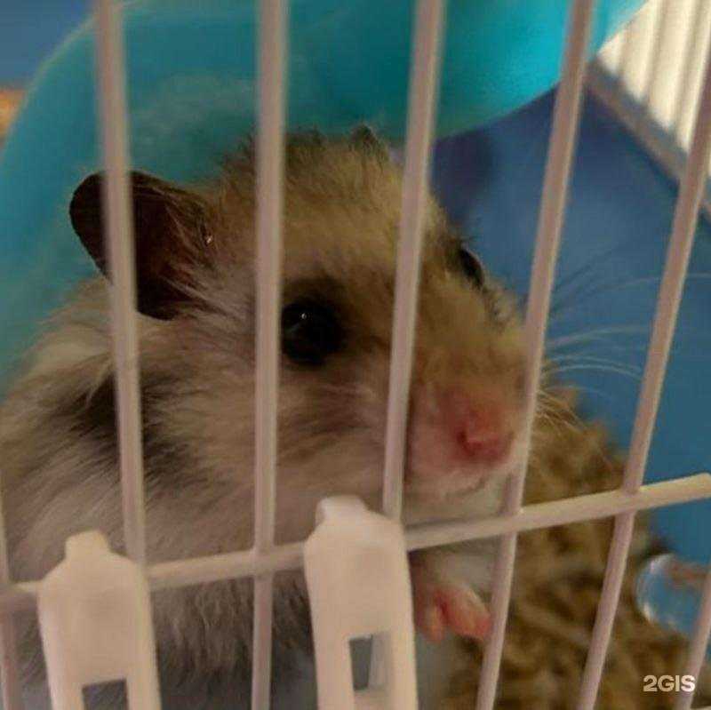 Отзывы на компанию Живая планета в Тюмени c фото