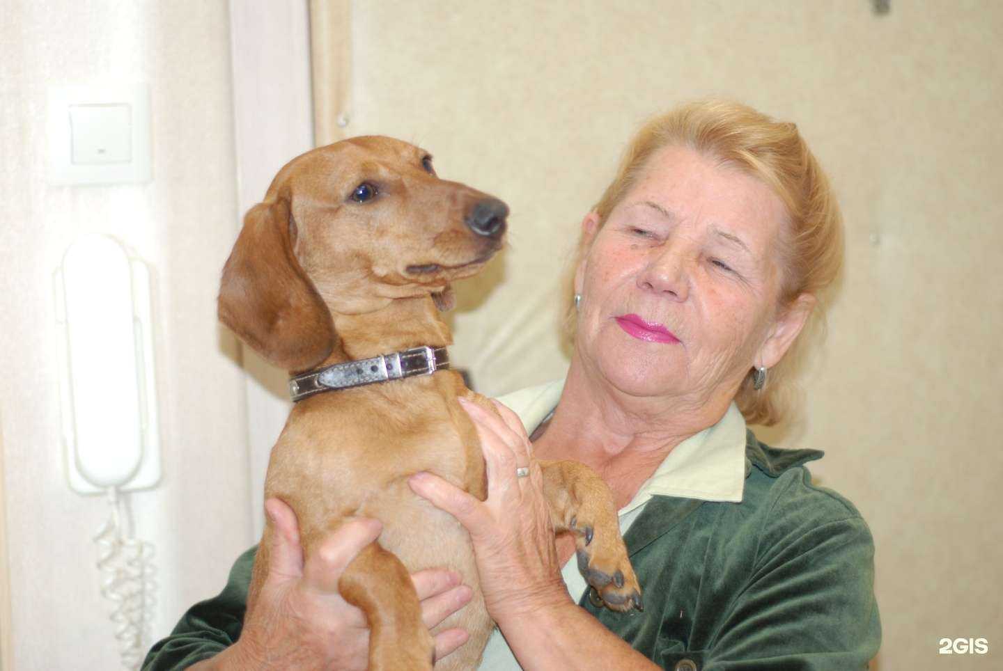 Отзывы на компанию Берегиня в Брянске c фото