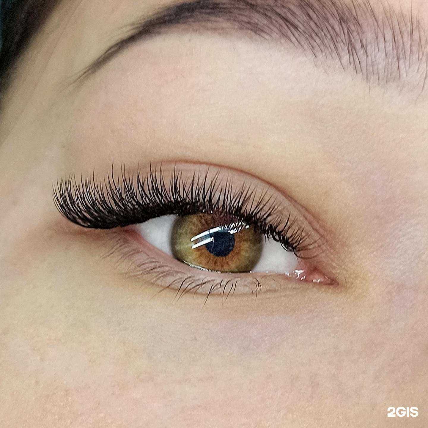 Отзывы на компанию На ресницах в Кемерове c фото