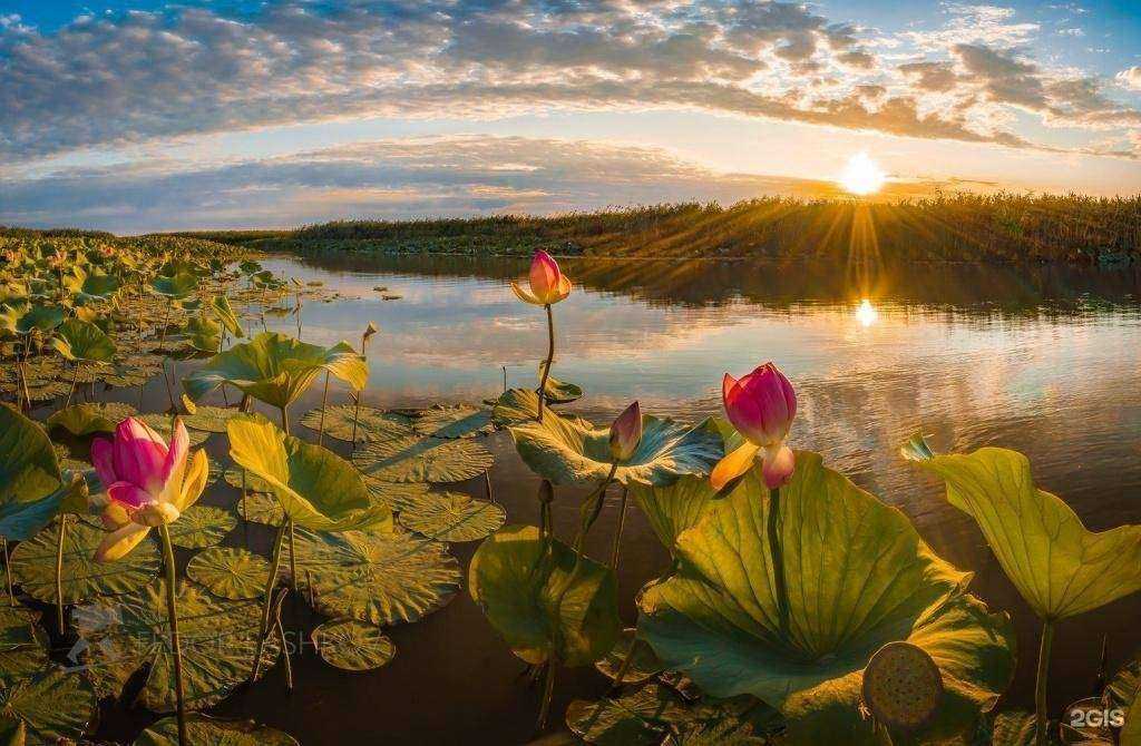 Отзывы на компанию Горец в г. Нальчик c фото
