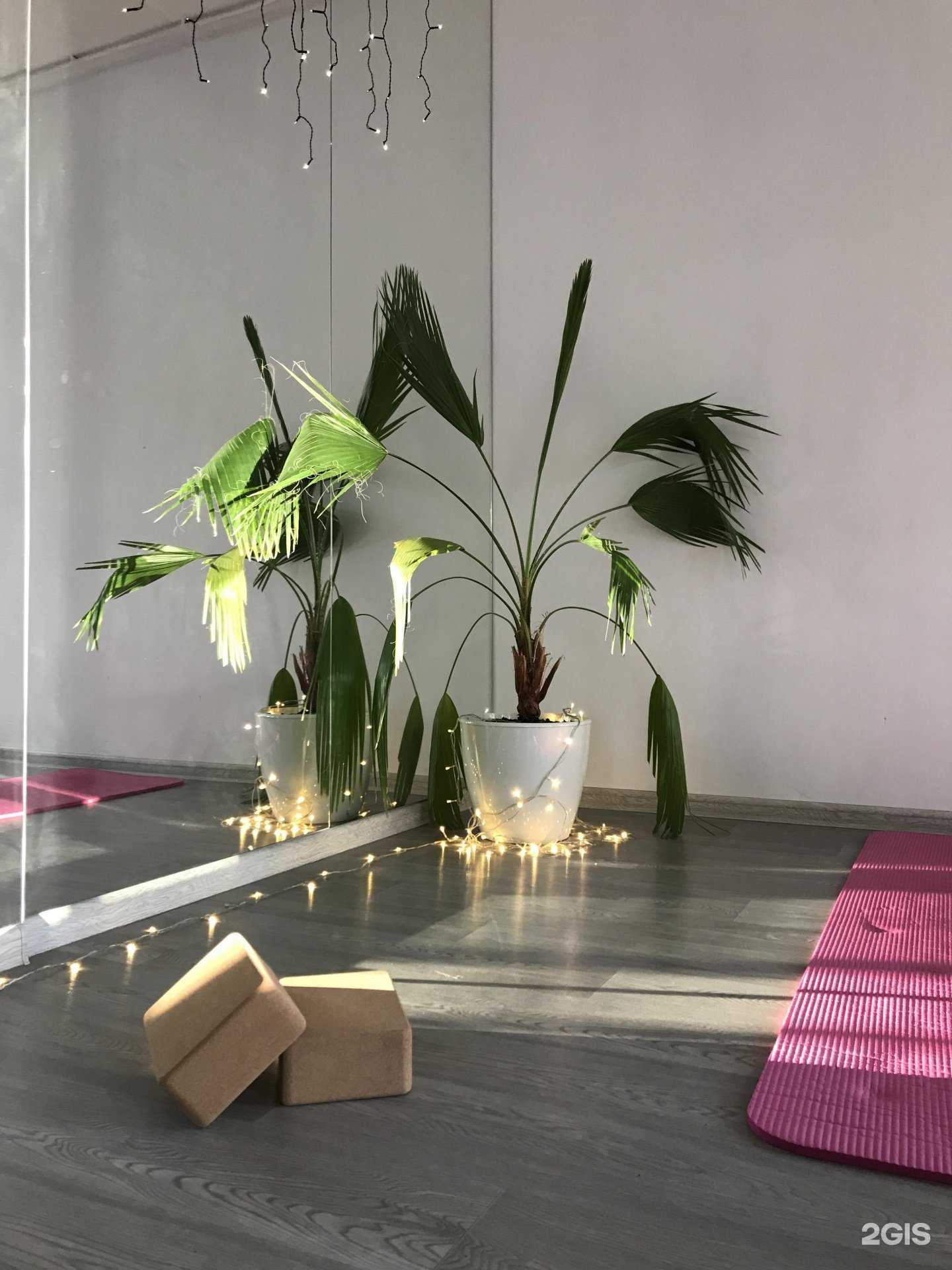 Отзывы на компанию Polyana sport в г. Ижевск c фото