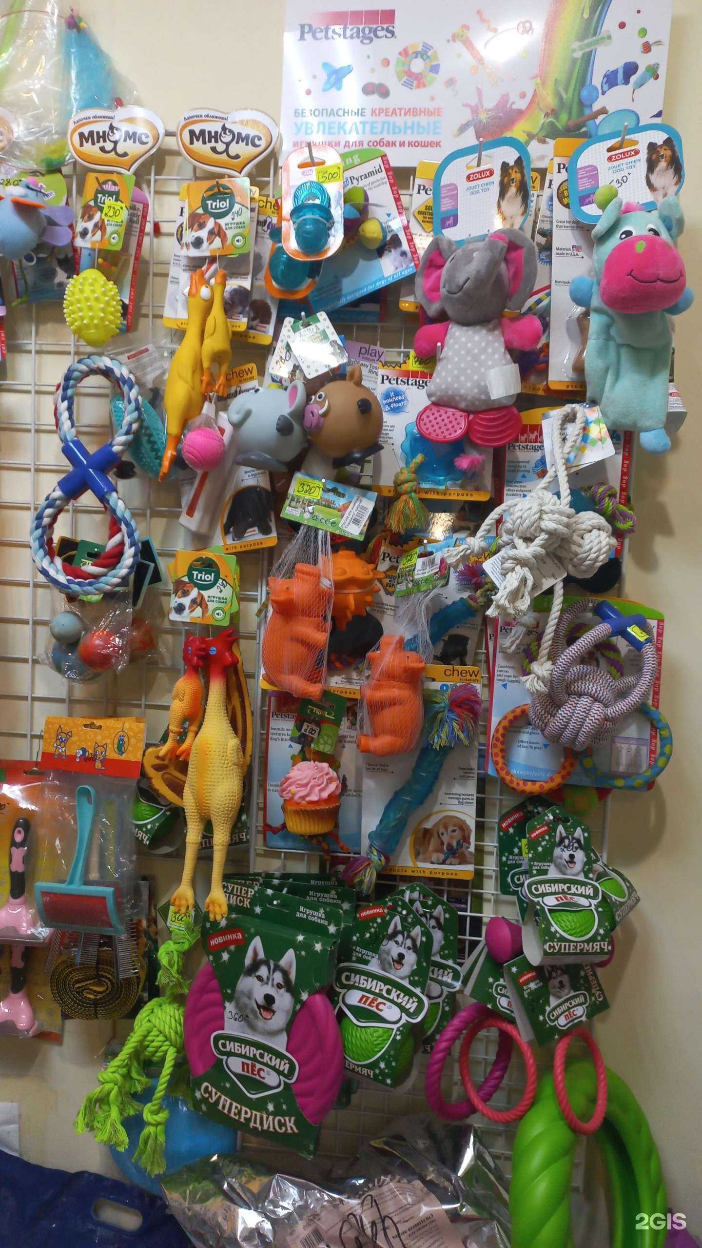 Отзывы на компанию Магазин зоотоваров в Тольятти c фото