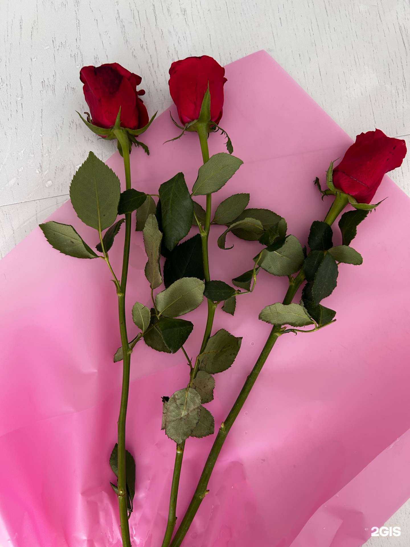 Отзывы на компанию М1 в г. Набережные Челны c фото