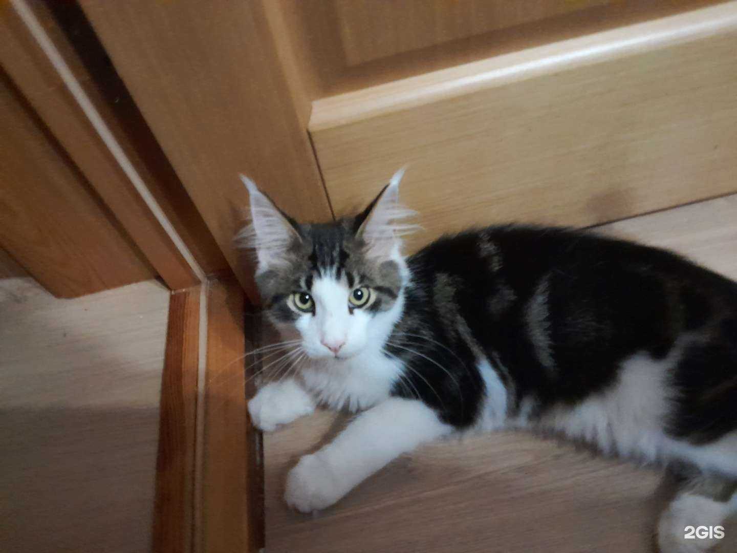 Отзывы на компанию #БлагоДача.ру# в Курске c фото - фотография 2 из 2