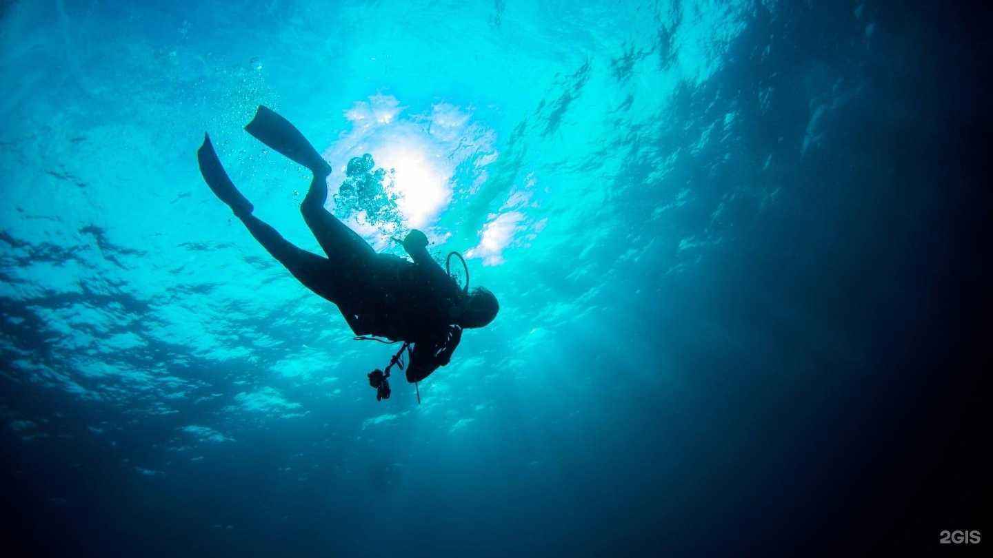 Отзывы на компанию Кит в г. Владивосток c фото