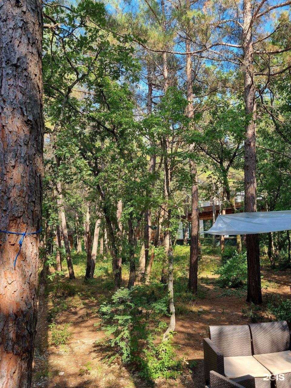 Отзывы на компанию Алемар в Геленджике c фото