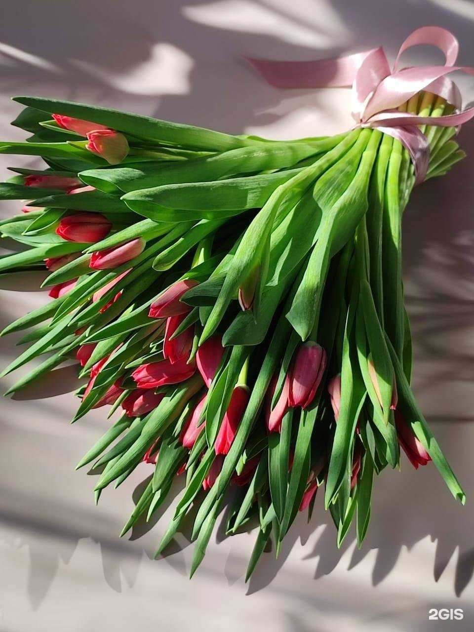 Отзывы на компанию Iris в Щёлкове c фото