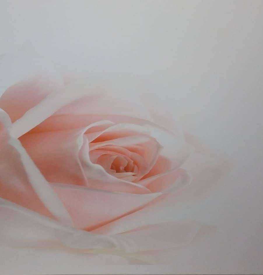 Отзывы на компанию 5 Мастеров в Ставрополе c фото