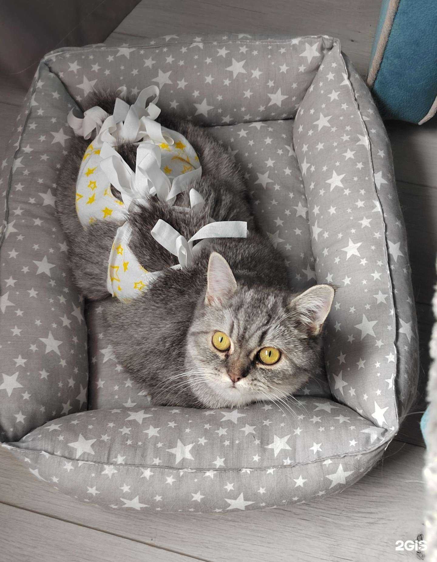 Отзывы на компанию Идеал в г. Сочи c фото