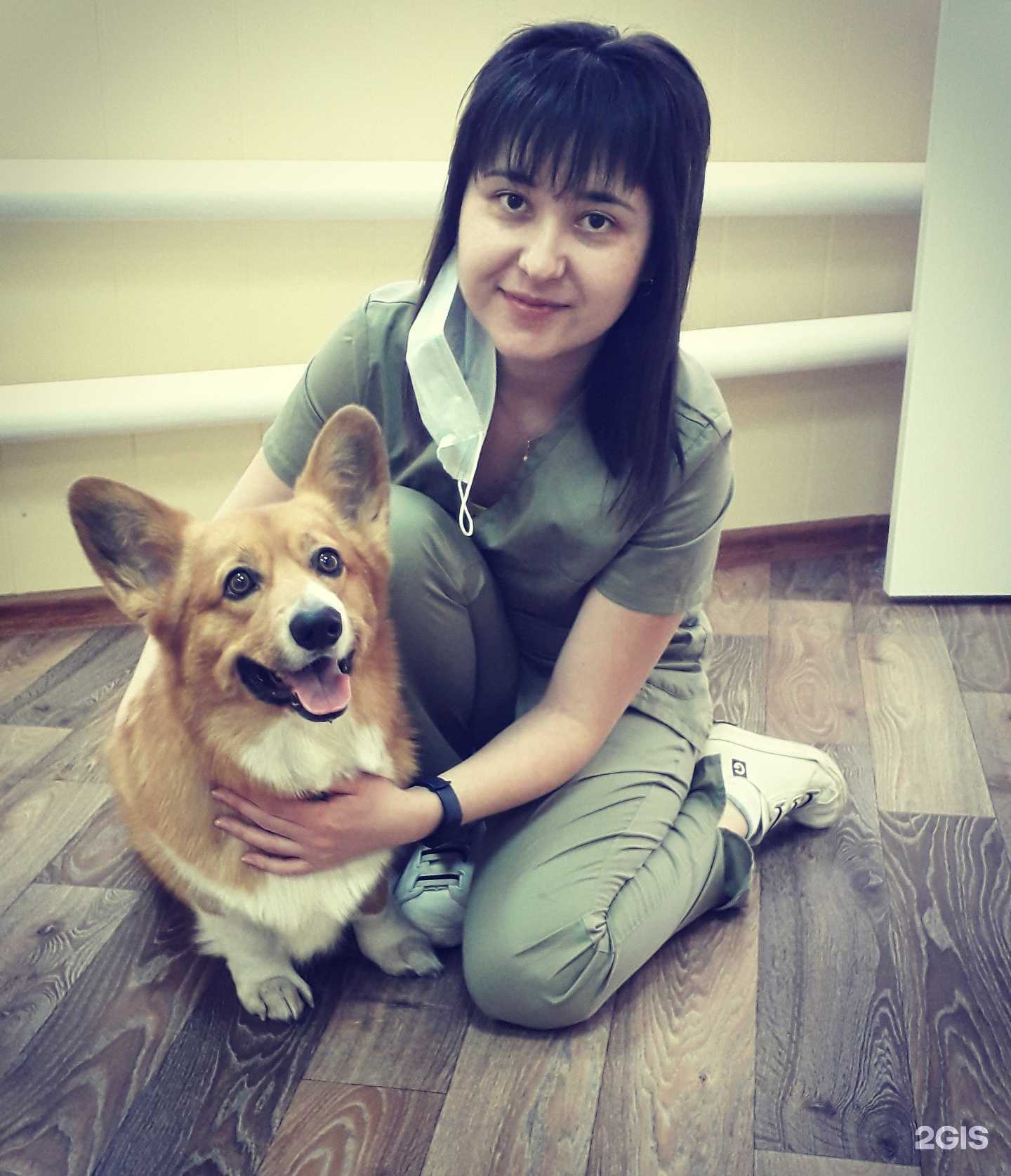 Отзывы на компанию Питомец в Челябинске c фото