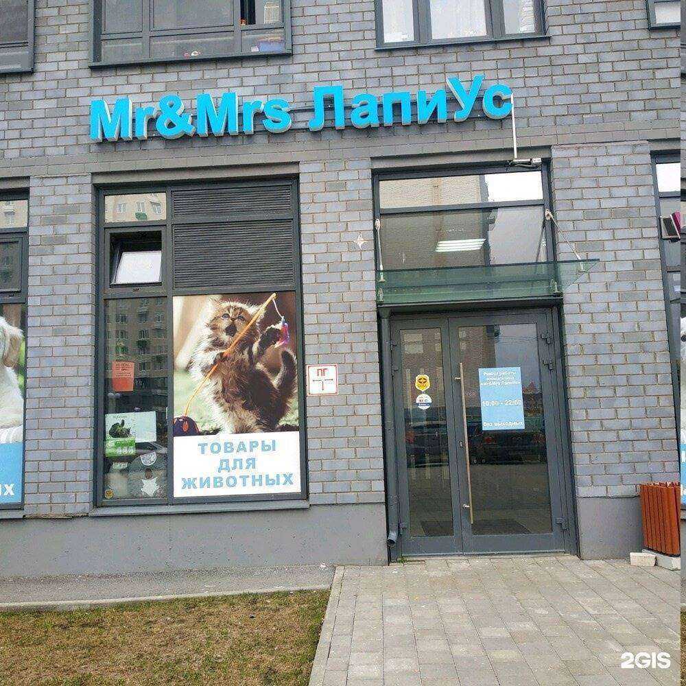 Отзывы на компанию Mr&Mrs ЛапиУс в Екатеринбурге c фото