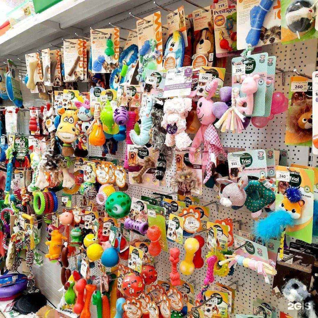 Отзывы на компанию Котопес в г. Комсомольск-на-Амуре c фото