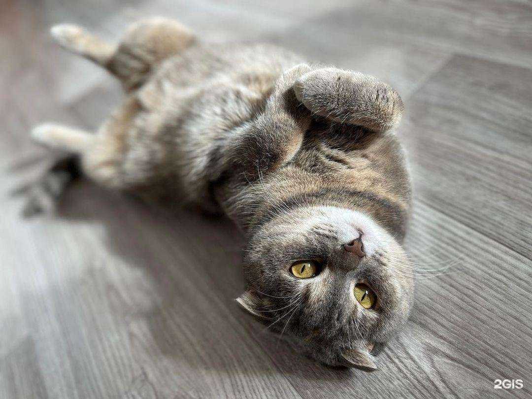 Отзывы на компанию Ветфармпродукт в Арзамасе c фото