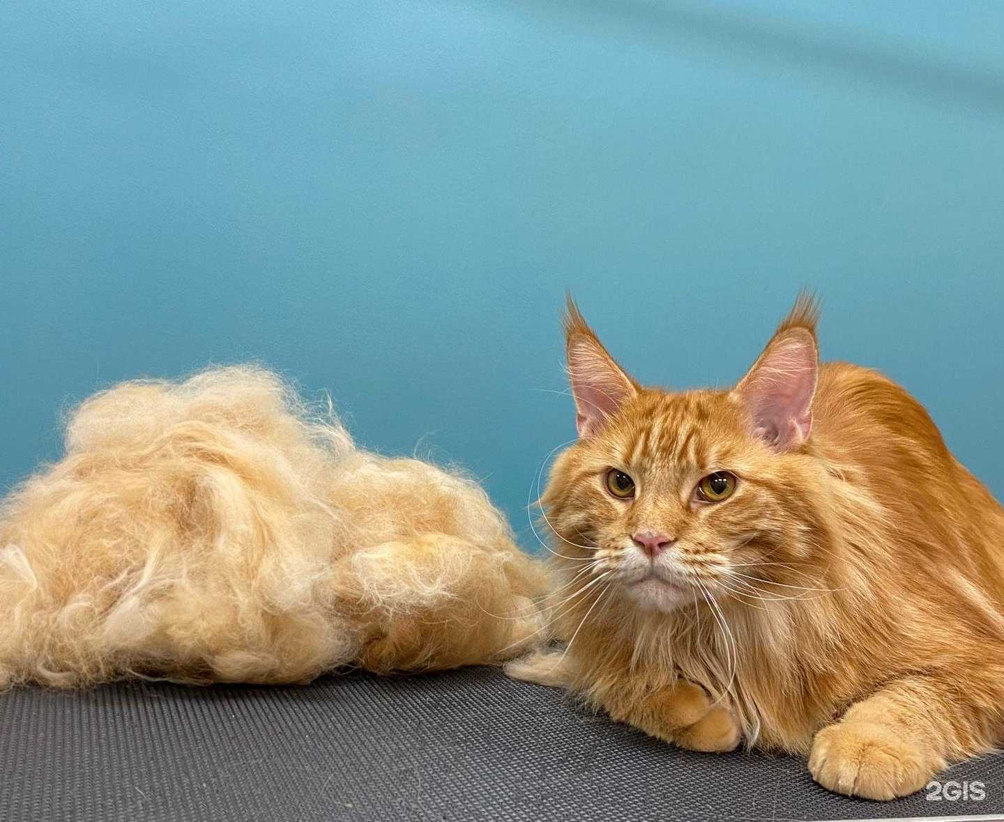 Отзывы на компанию Арно в г. Мурманск c фото