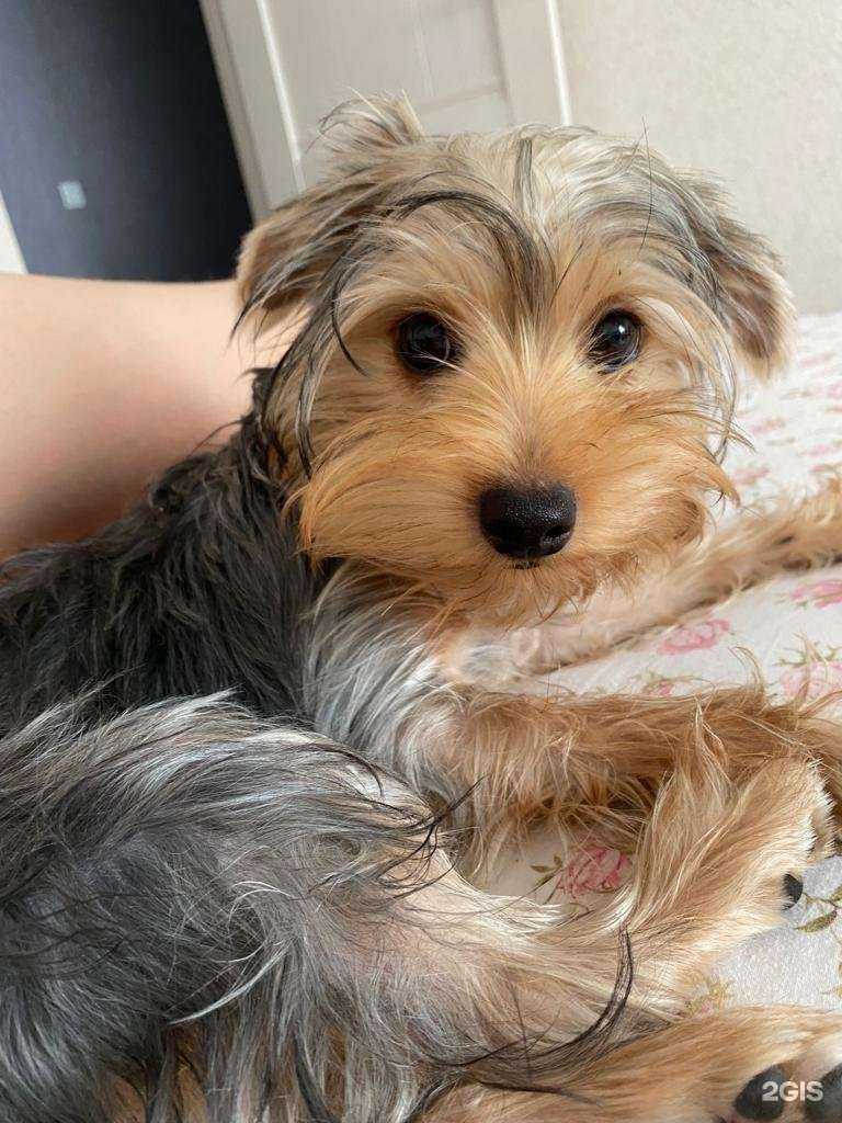 Отзывы на компанию Бакс Банни в Краснодаре c фото