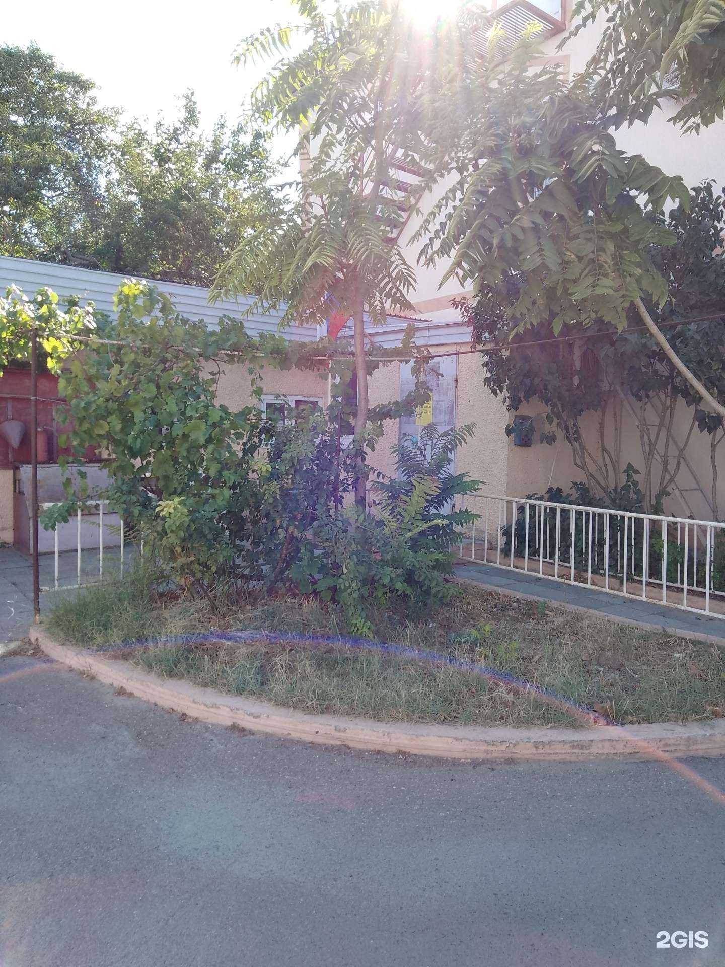 Отзывы на компанию ДоброВет в Анапе c фото - фотография 2 из 2