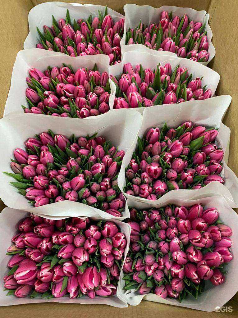 Отзывы на компанию Цветочный дворик в Якутске c фото