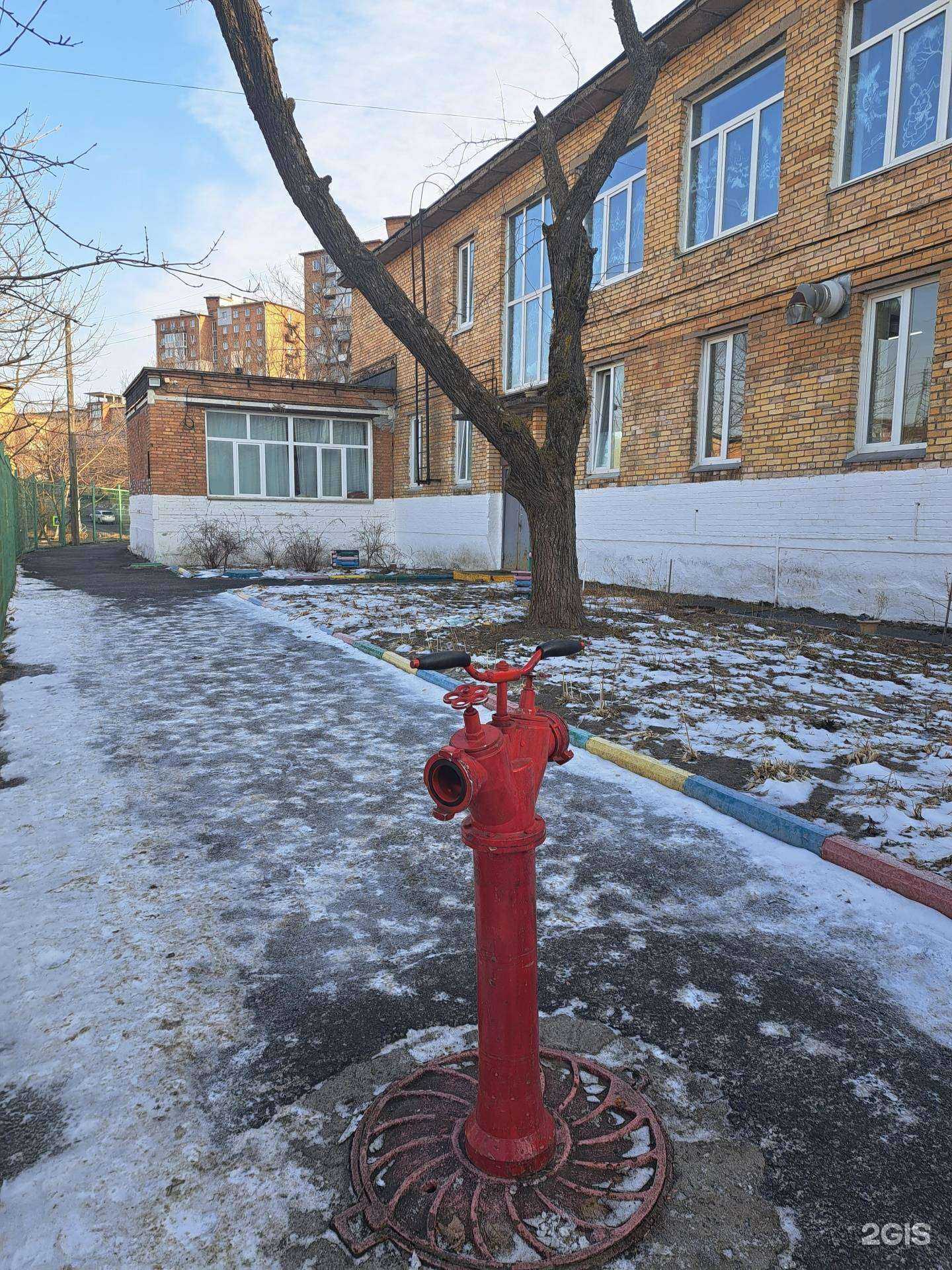 Отзывы на компанию Центр развития ребенка-детский сад №11 в г. Владивосток c фото