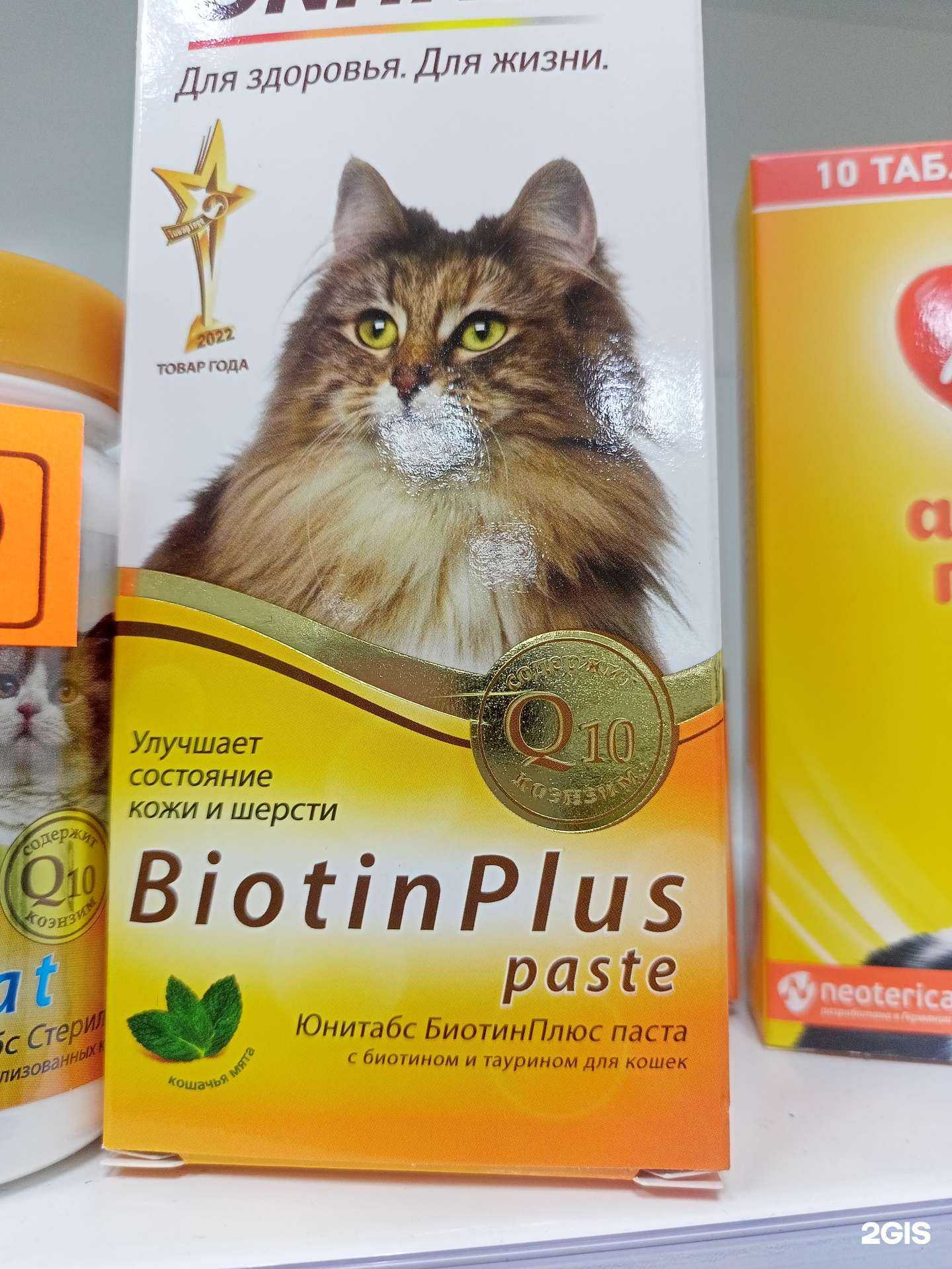 Отзывы на компанию Кот&dog в г. Абакан c фото