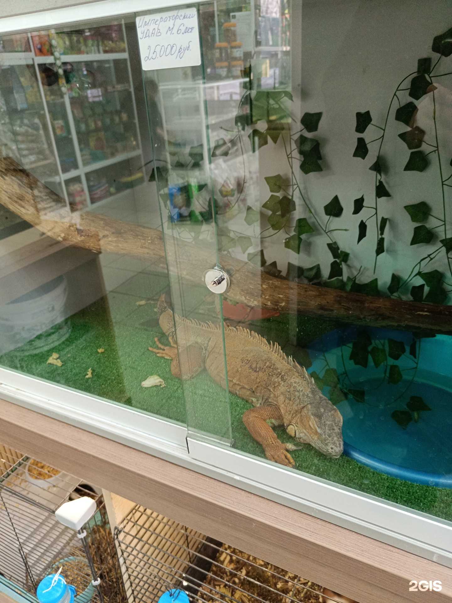 Отзывы на компанию Белочка и стрелочка в Перми c фото