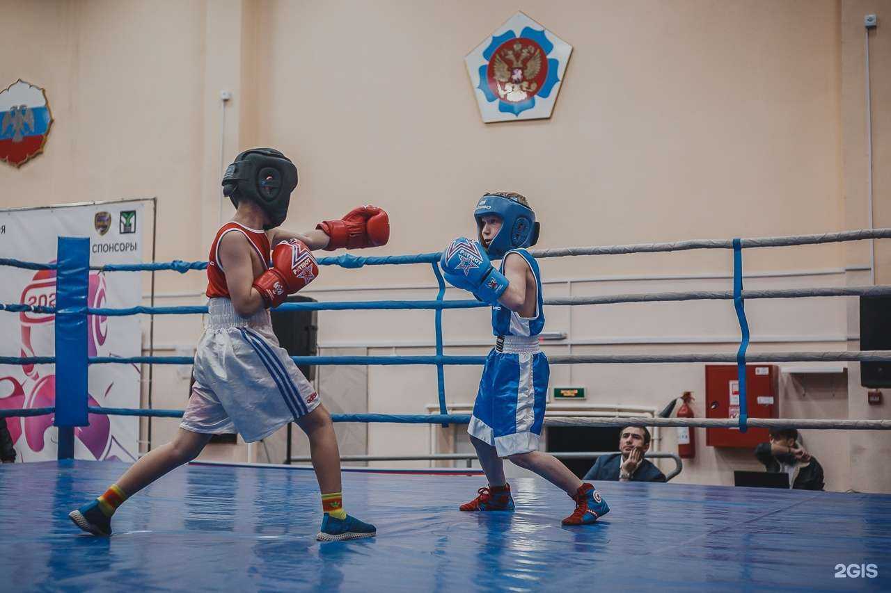 Отзывы на компанию СШОР Единоборств в Петропавловске-Камчатском c фото