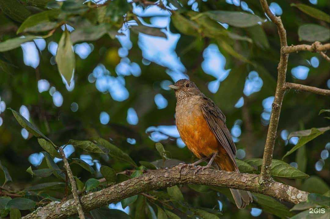 Отзывы на компанию Юниор в Сургуте c фото