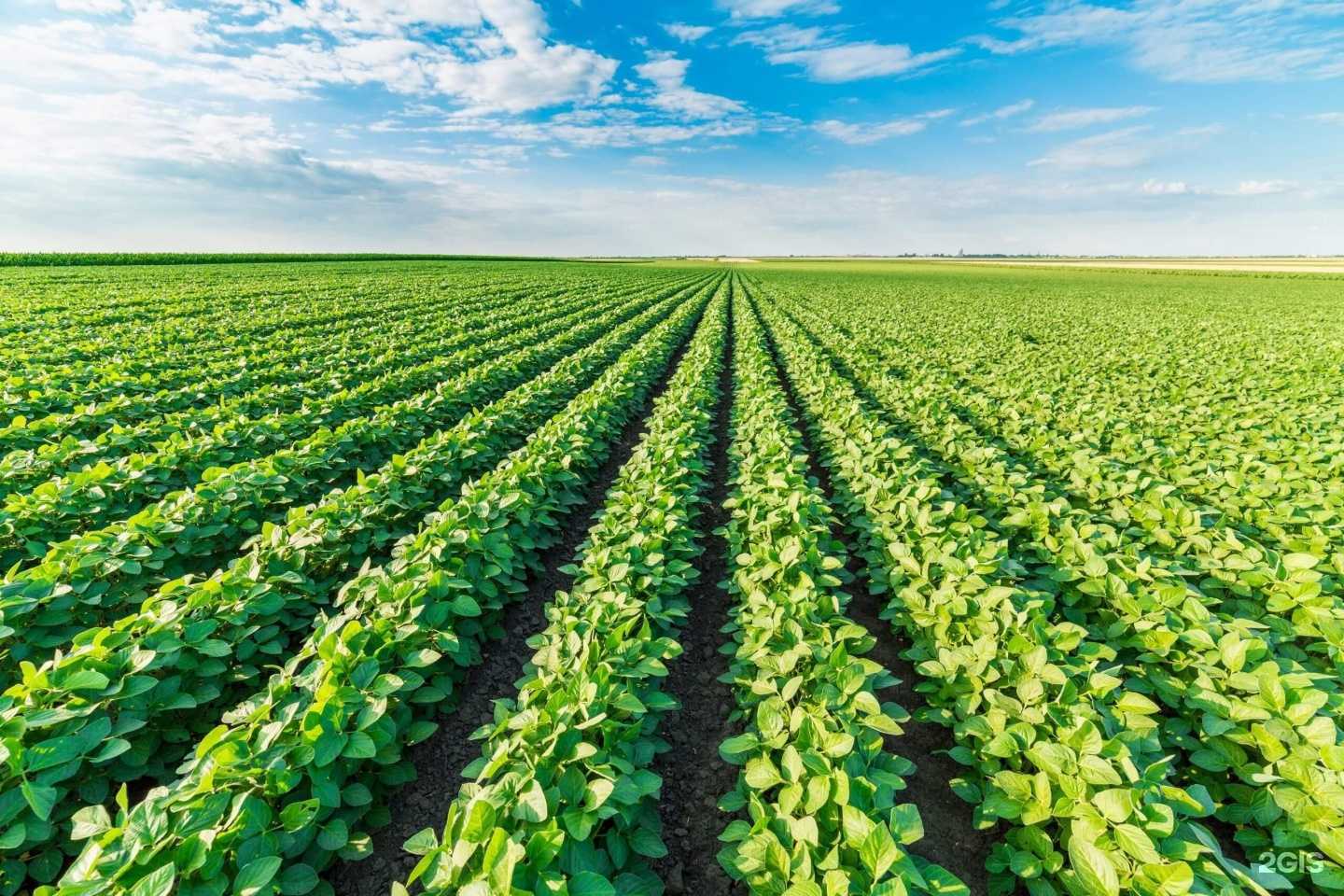 Отзывы на компанию Агрозащита в г. Курск c фото