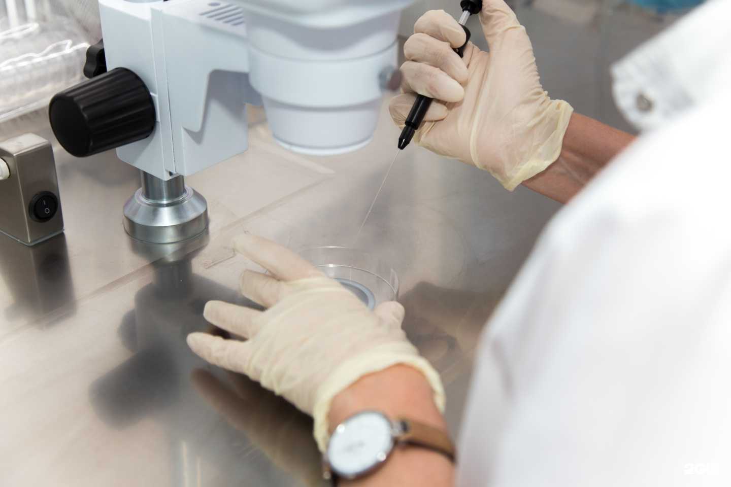 Отзывы на компанию Центр ЭКО в г. Ставрополь c фото