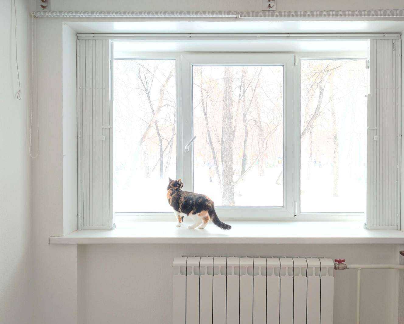 Отзывы на компанию Дор-сити в г. Екатеринбург c фото