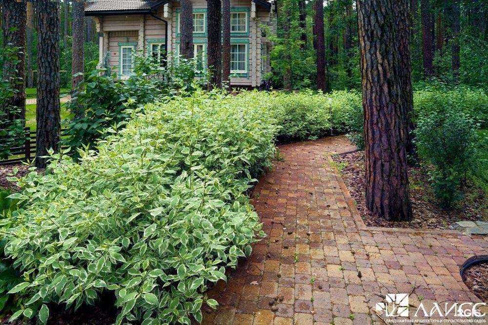 Отзывы на компанию ЛАИСС в Екатеринбурге c фото