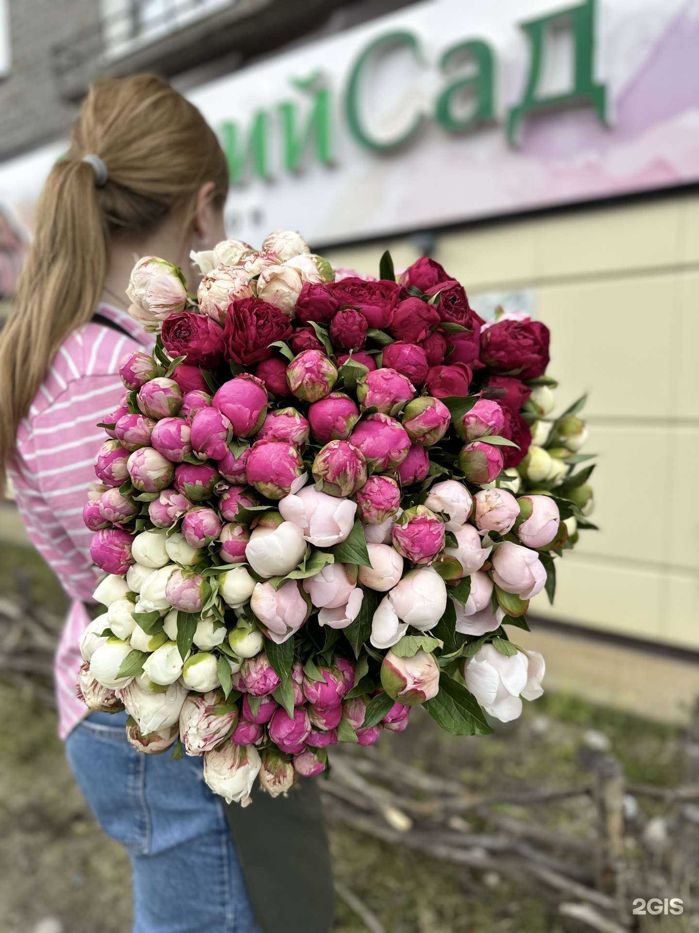 Отзывы на компанию Зимний сад в г. Мончегорск c фото