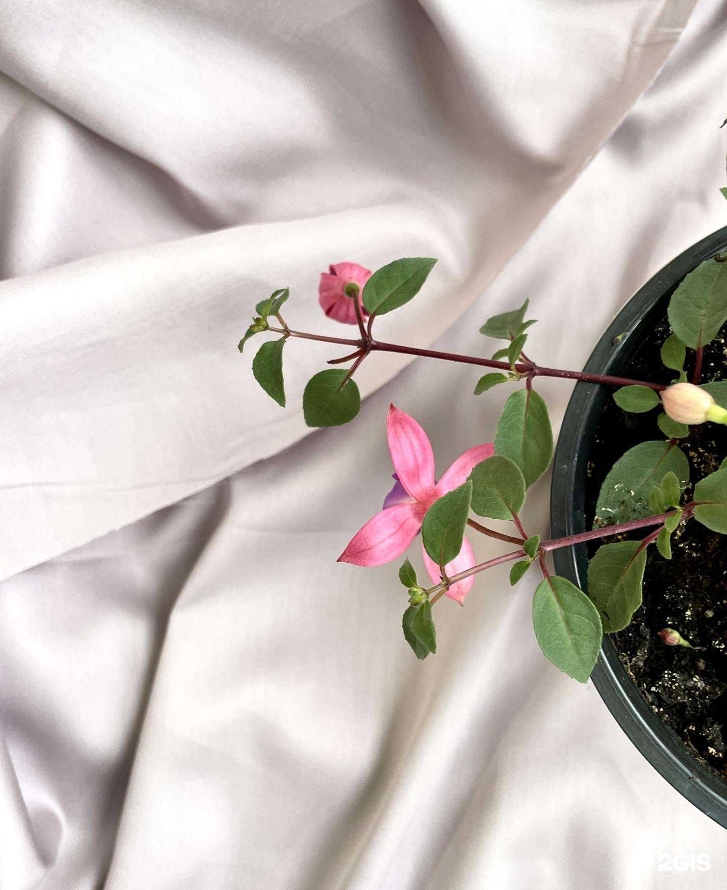 Отзывы на компанию Ателье по пошиву и ремонту одежды в г. Оренбург c фото