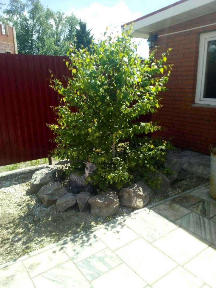 Отзывы на компанию У грека в г. Омск c фото