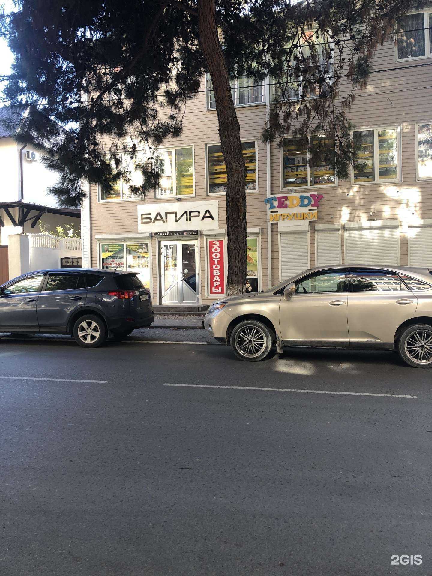 Отзывы на компанию Багира в г. Геленджик c фото