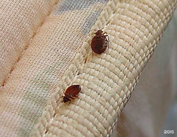 Отзывы на компанию Био-сервис в Новосибирске c фото