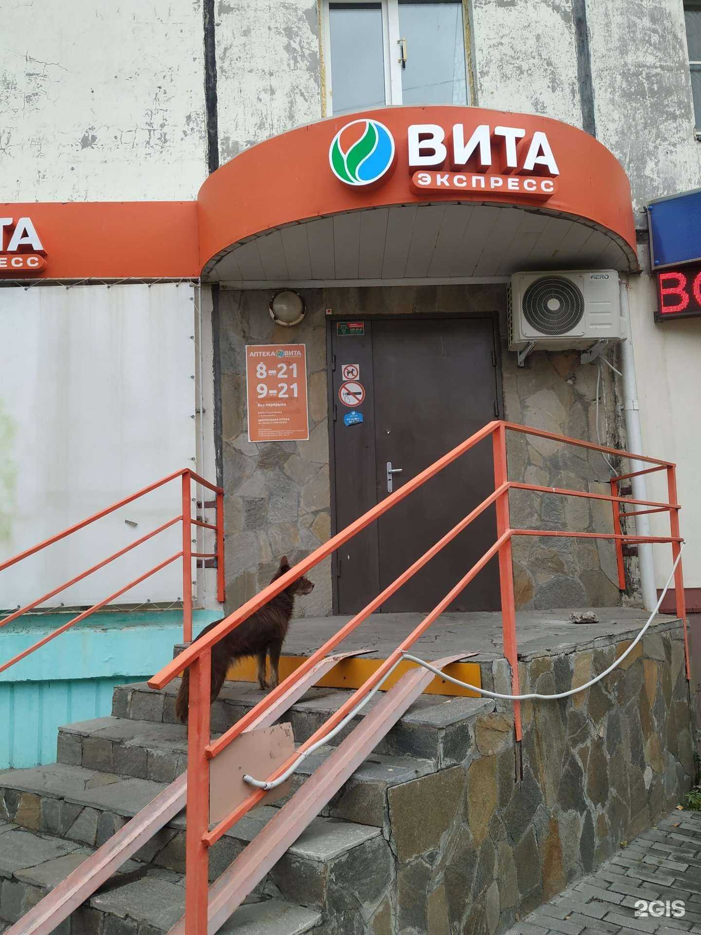 Отзывы на компанию Вита в Челябинске c фото