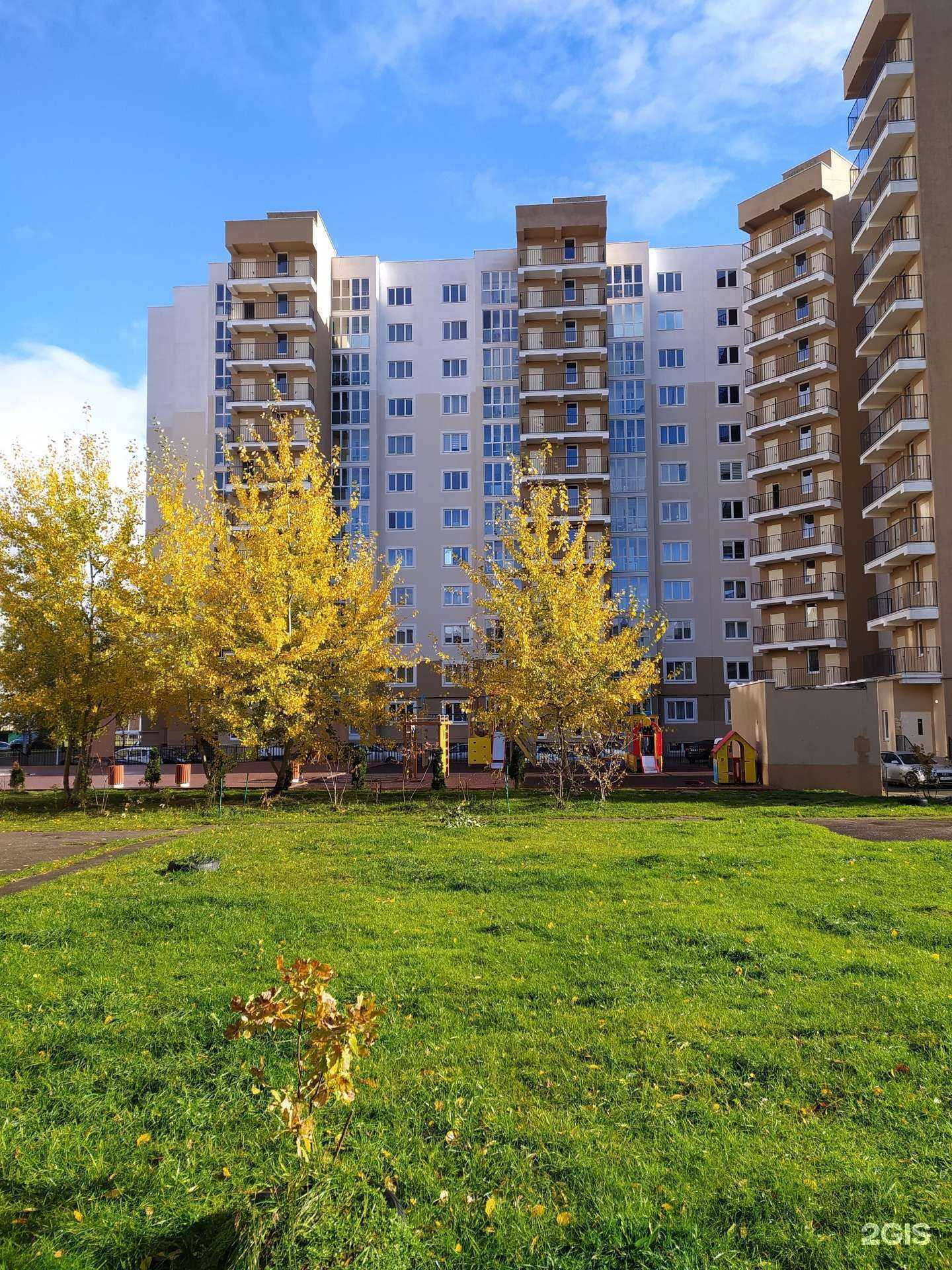 Отзывы на компанию Benelove в Калининграде c фото - фотография 2 из 2