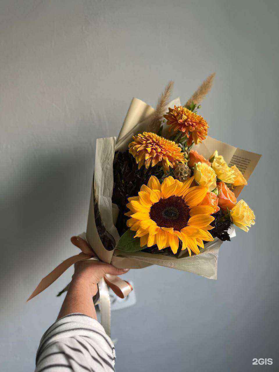 Отзывы на компанию Кактус в г. Новый Уренгой c фото