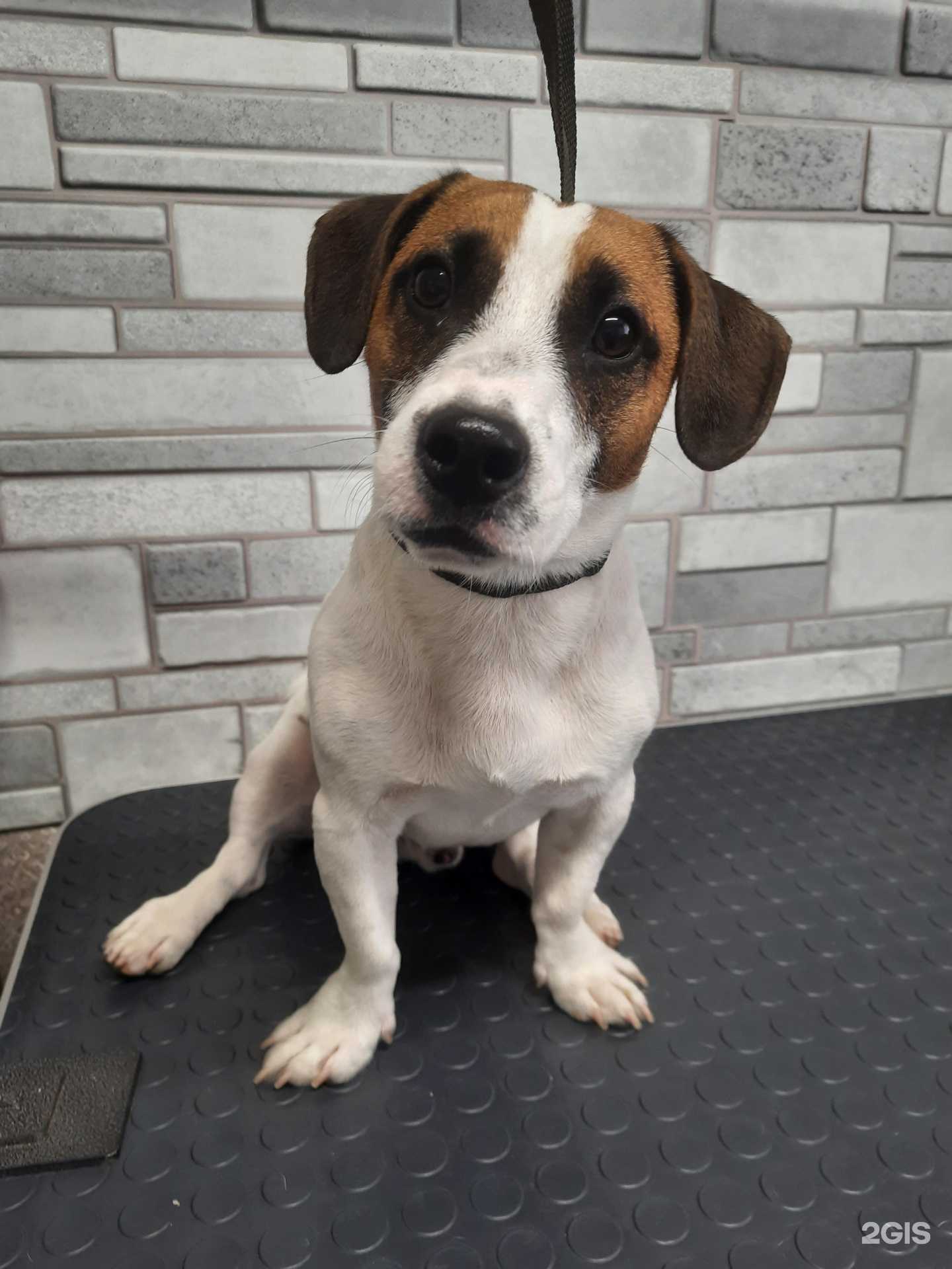 Отзывы на компанию Радость моя в Белгороде c фото