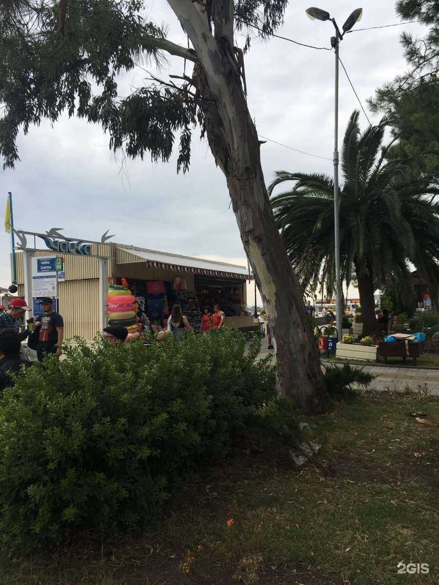 Отзывы на компанию Тир в Сочи c фото - фотография 2 из 2