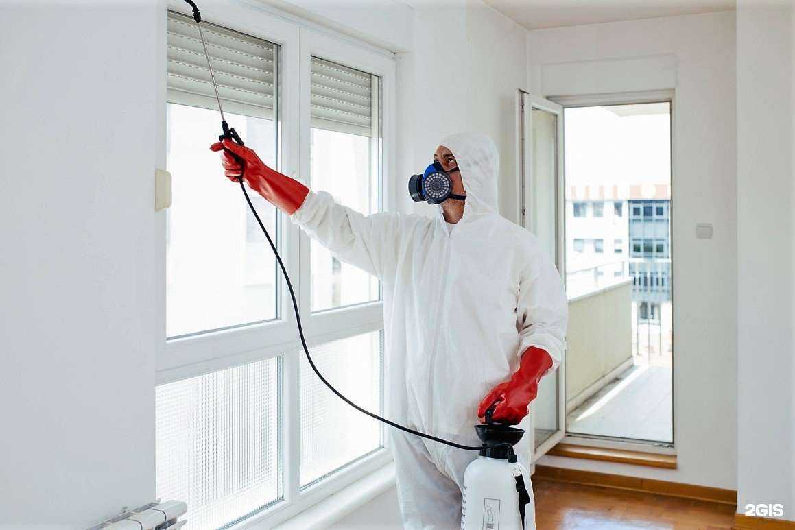 Отзывы на компанию Best клининг в Мурманске c фото