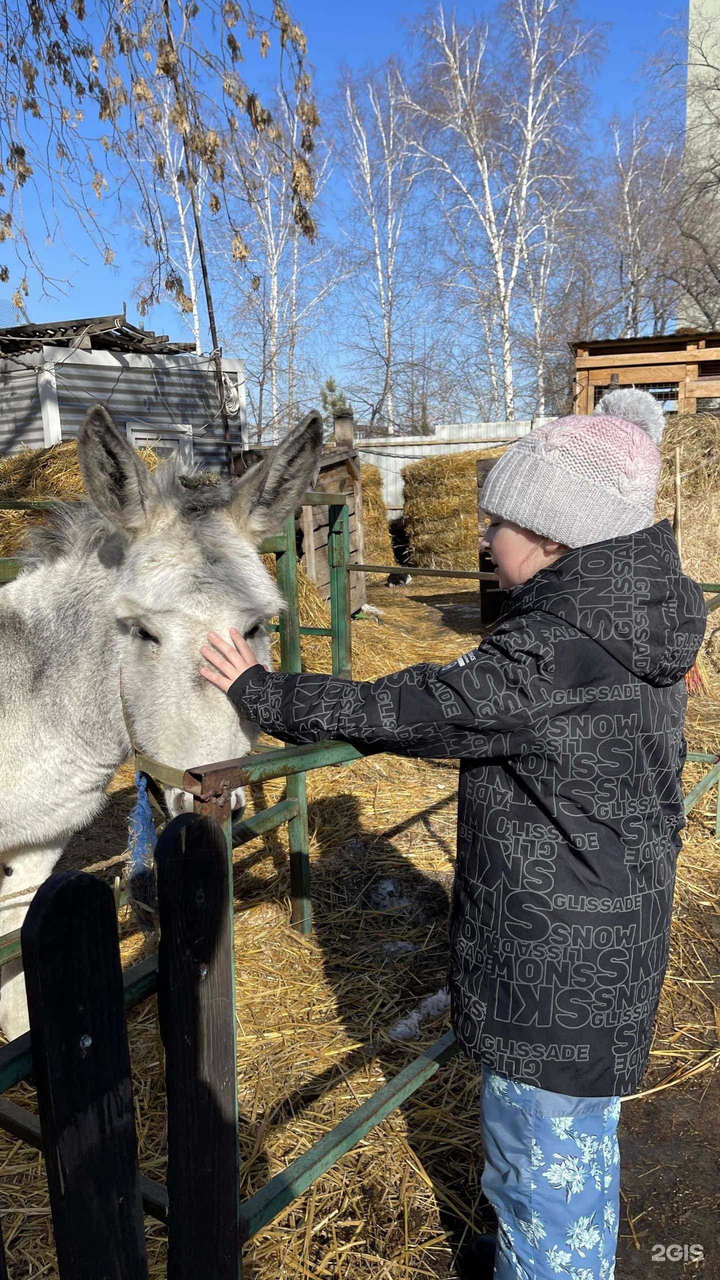 Отзывы на компанию Радуга в Новосибирске c фото