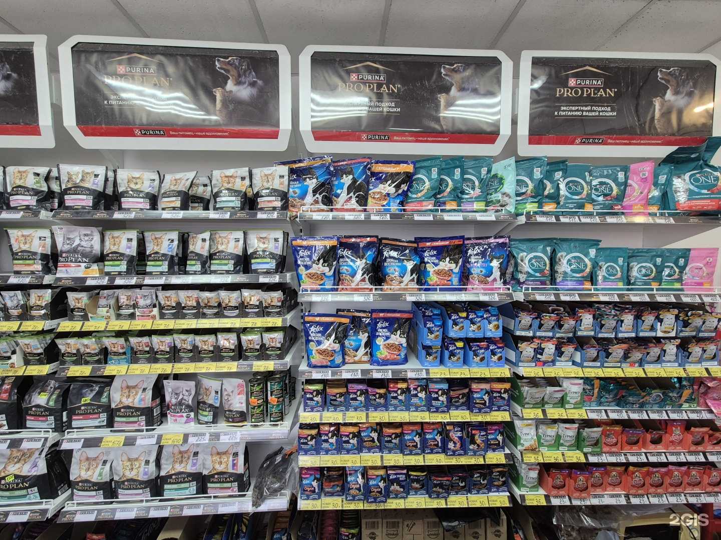 Отзывы на компанию Зоомагазин в Владивостоке c фото