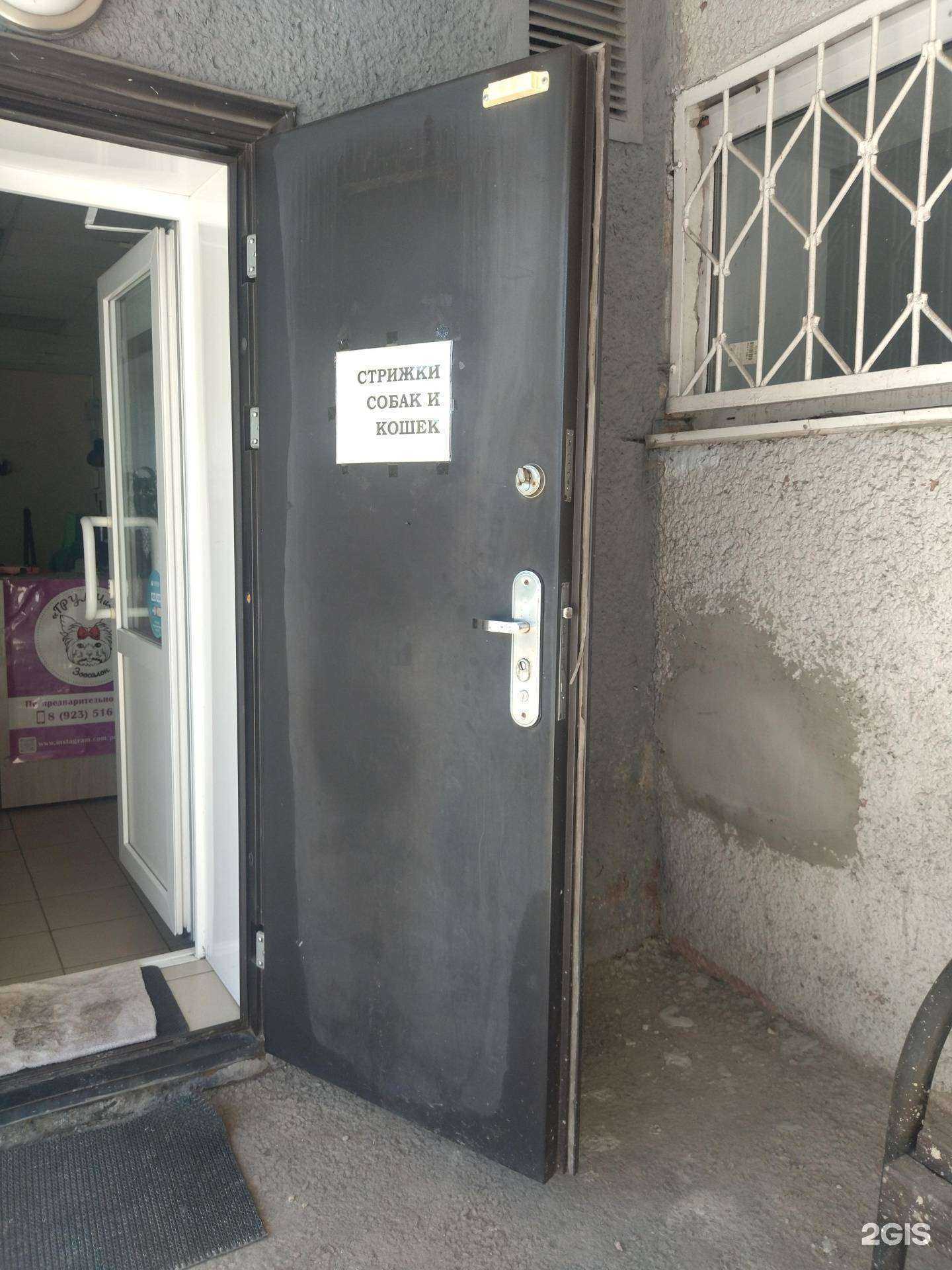 Отзывы на компанию Грумчик в г. Киселёвск c фото