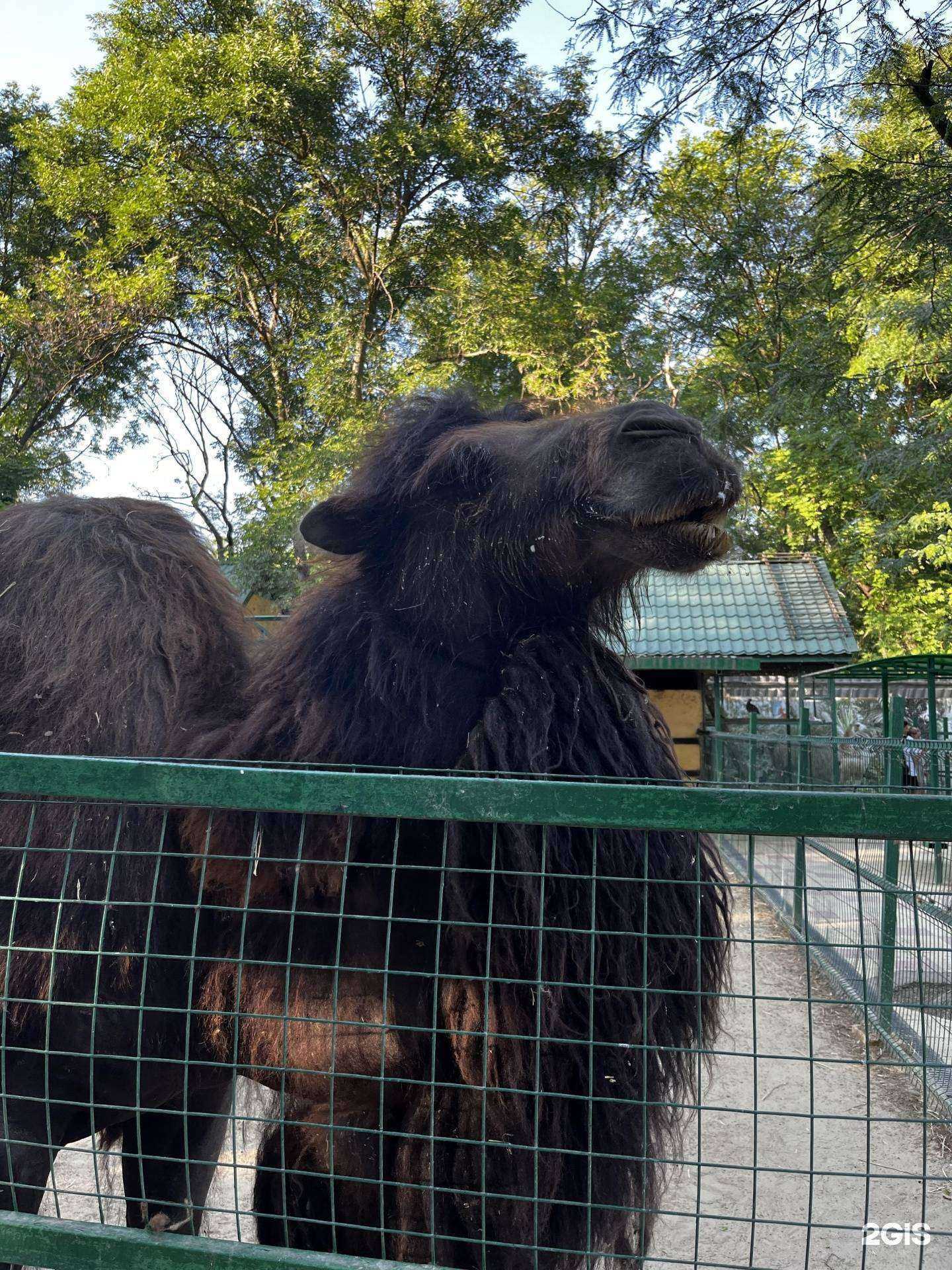 Отзывы на компанию МегаФон-Yota в Ростове-на-Дону c фото