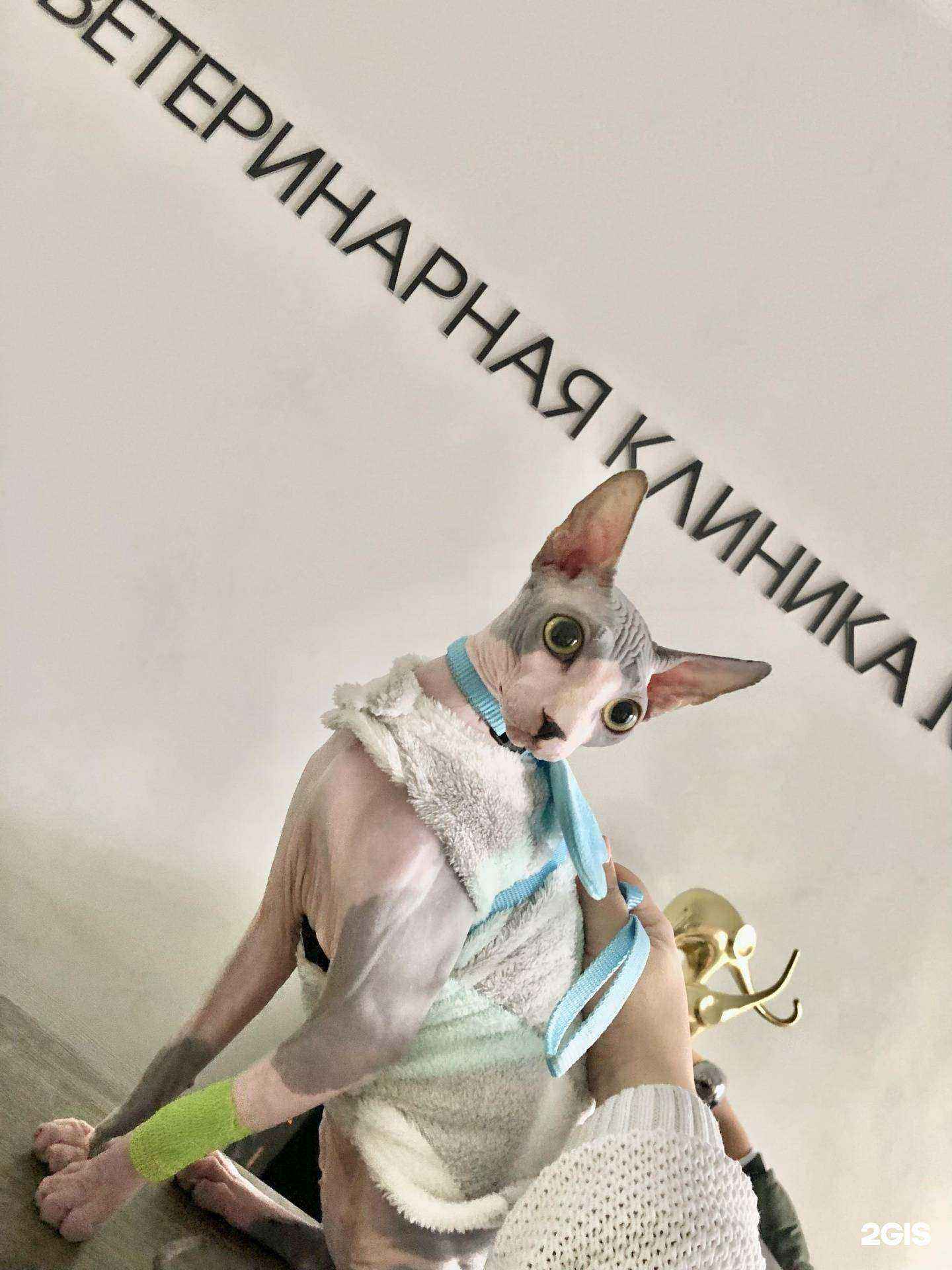 Отзывы на компанию Ветеринарная Клиника №1 в Грозном c фото