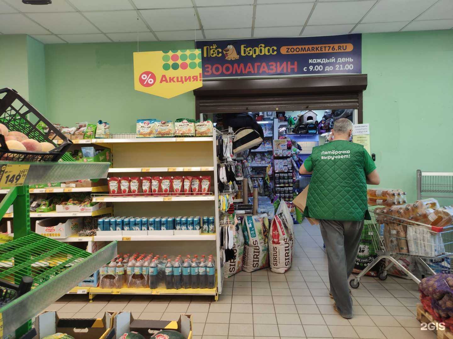 Отзывы на компанию Пëс барбос в г. Рыбинск c фото