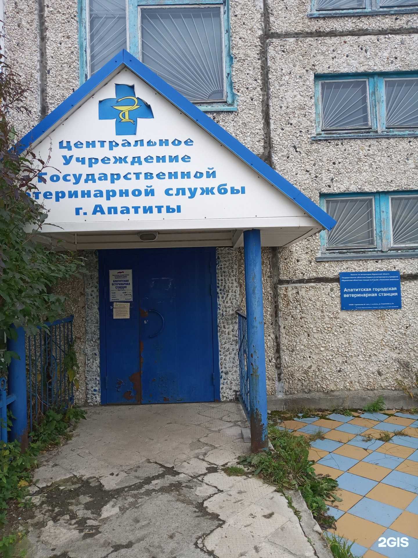 Отзывы на компанию Апатитская городская ветеринарная станция в Апатитах c фото